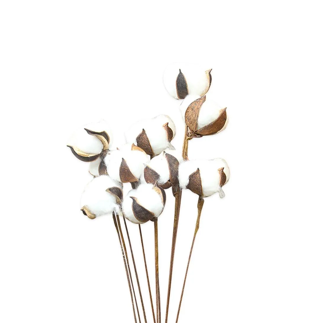 COTTON FLOWERS * 10