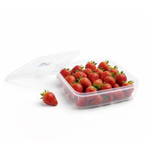 SQUARE 1.6 L FOOD STORAGE CONTAINER WITH AIRTIGHT LID – MULTIPURPOSE KITCHEN STORAGE BOX