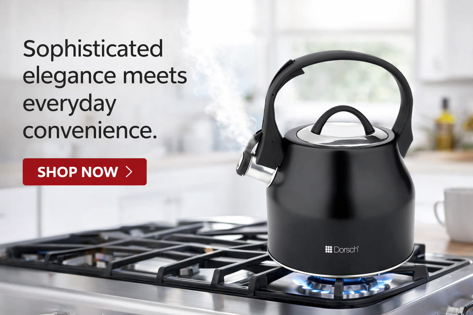 Dorsch DH-02910 Matte Black Kettle 2.5L Kitchen Use