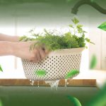 Square bowl with removable strainer insert for washing vegetables, draining pasta and serving salads – kitchen bowl from Homedash Lebanon.