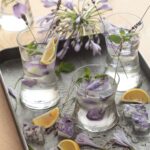 Set of 6 Derin 300ml short glass cups with modern flared design on white background