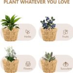 Scalloped Wicker Plant Basket 18 cm Water Hyacinth