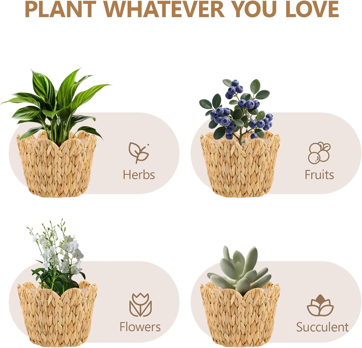 Scalloped Wicker Plant Basket 18 cm Water Hyacinth