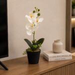 Orchid Plant Decorative Pot Pink White