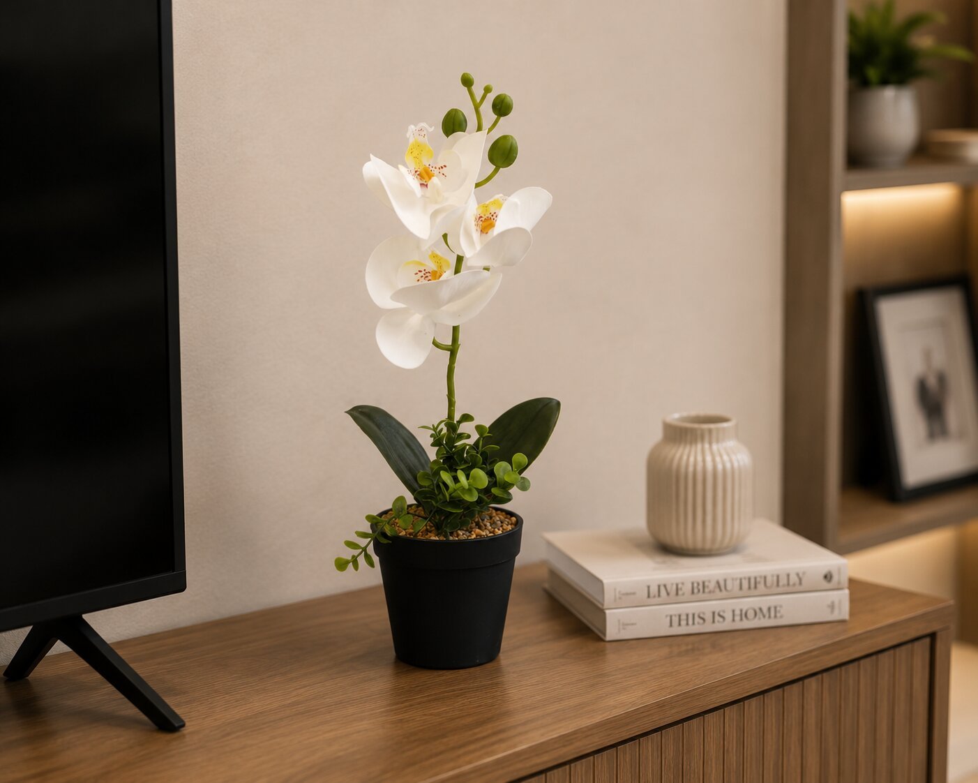 Orchid Plant Decorative Pot Pink White