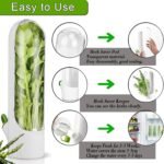 Food-safe plastic fresh herb saver with water reservoir for refrigerator storage