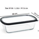 borosilicate tempered glass bowl with airtight plastic lid